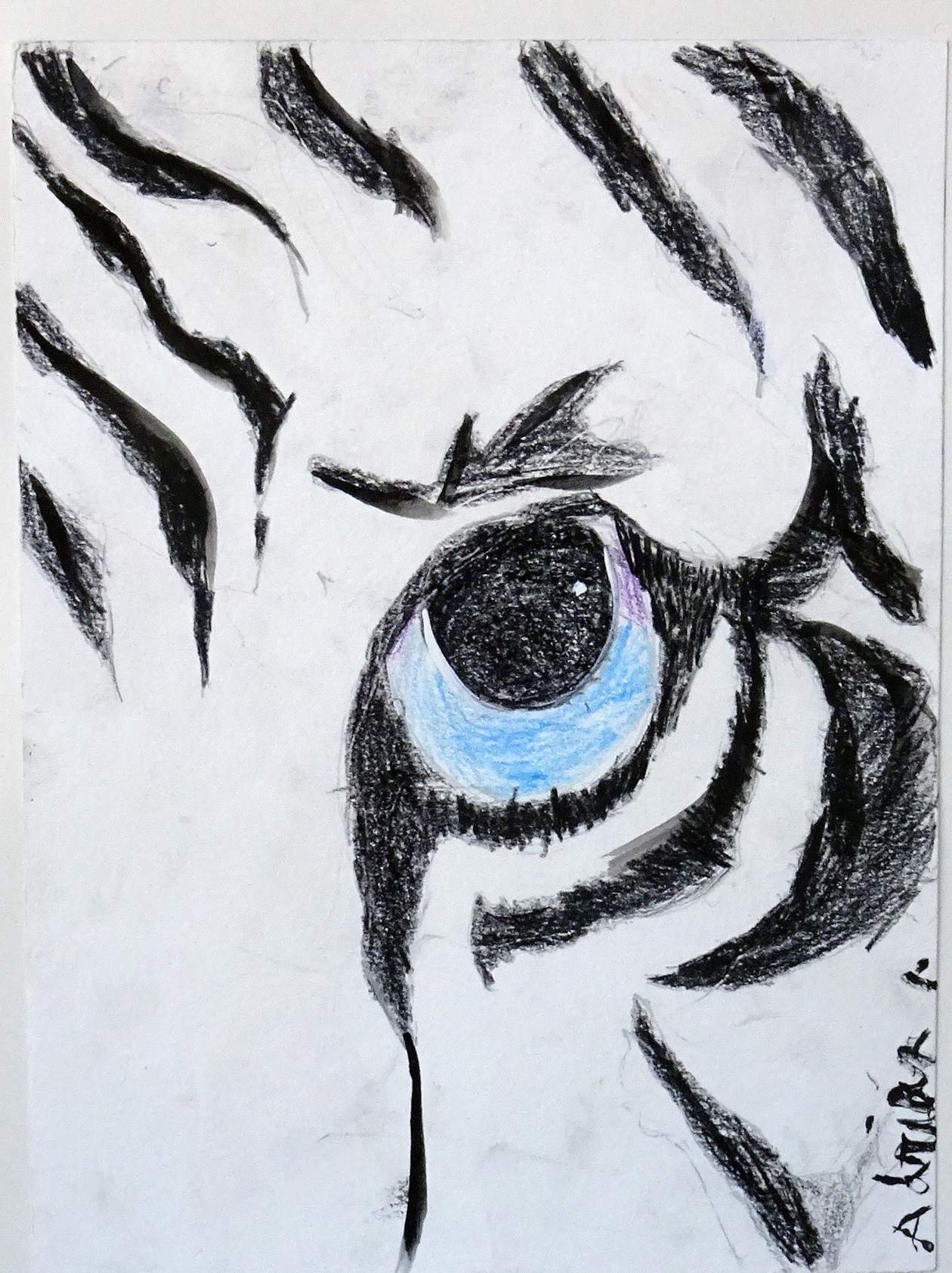 ojo de tigre
